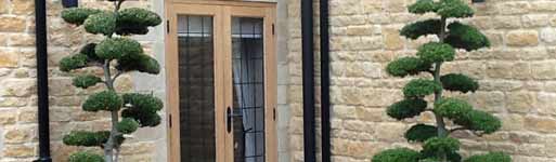 specimen plants selby and york